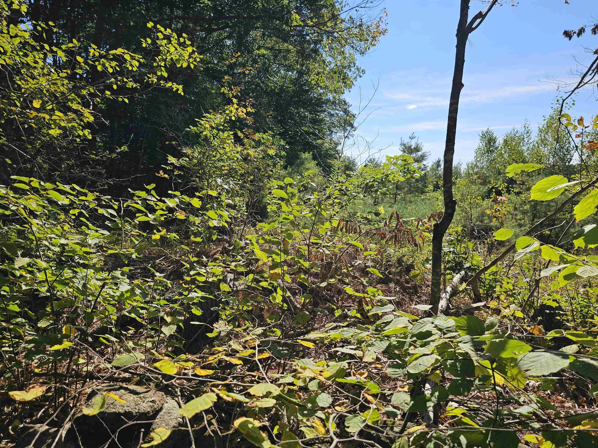 0 Shaw Road Barnstead NH 03218