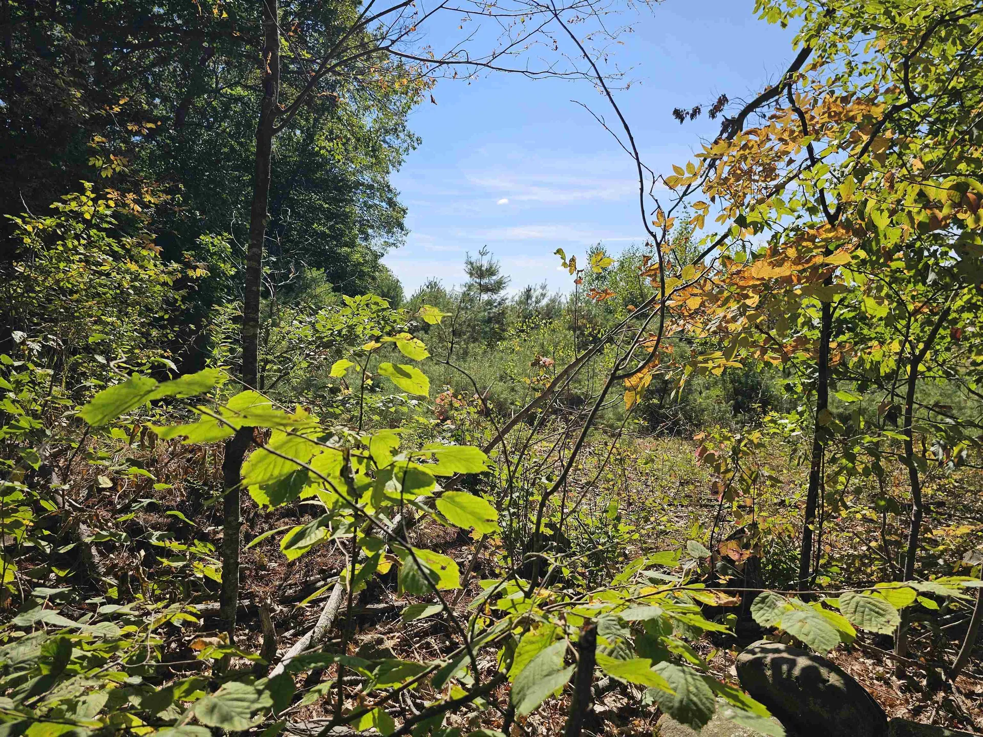 0 Shaw Road Barnstead NH 03218