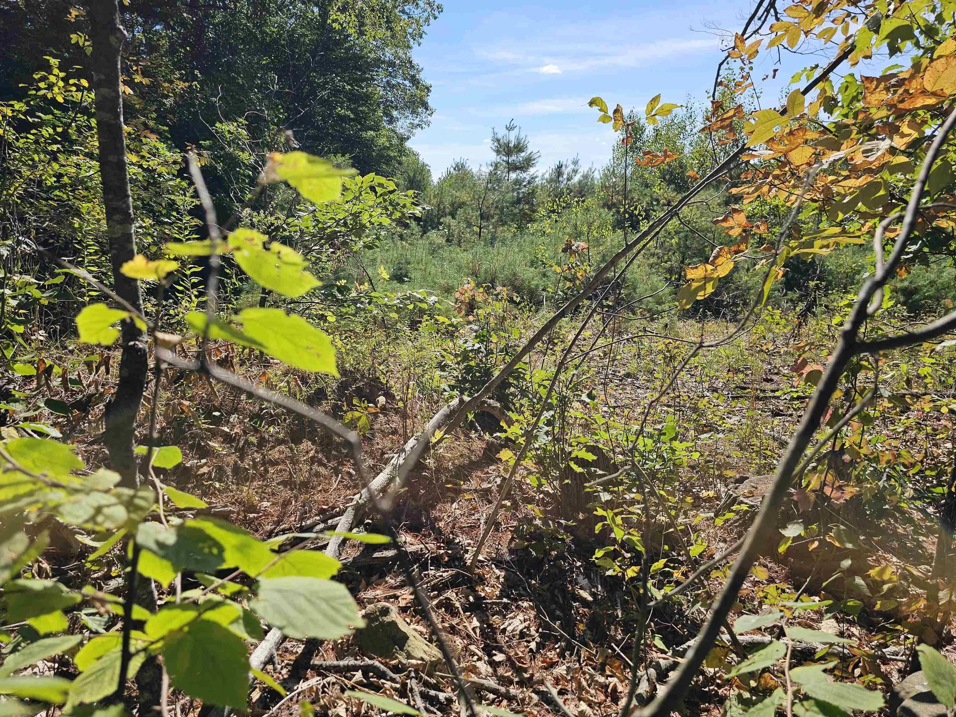 0 Shaw Road Barnstead NH 03218