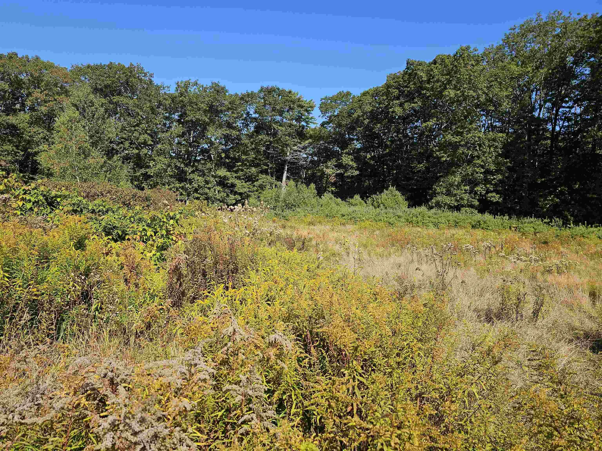 0 Shaw Road Barnstead NH 03218