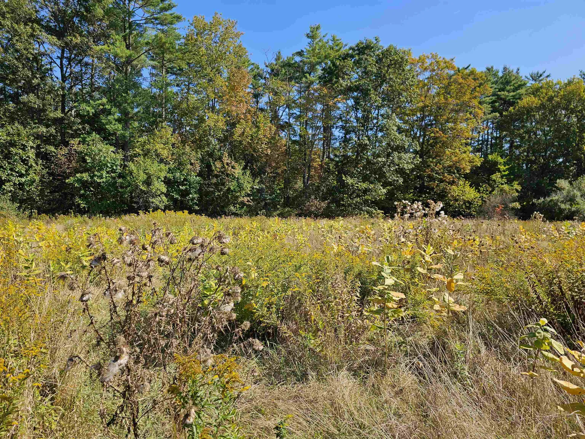 0 Shaw Road Barnstead NH 03218