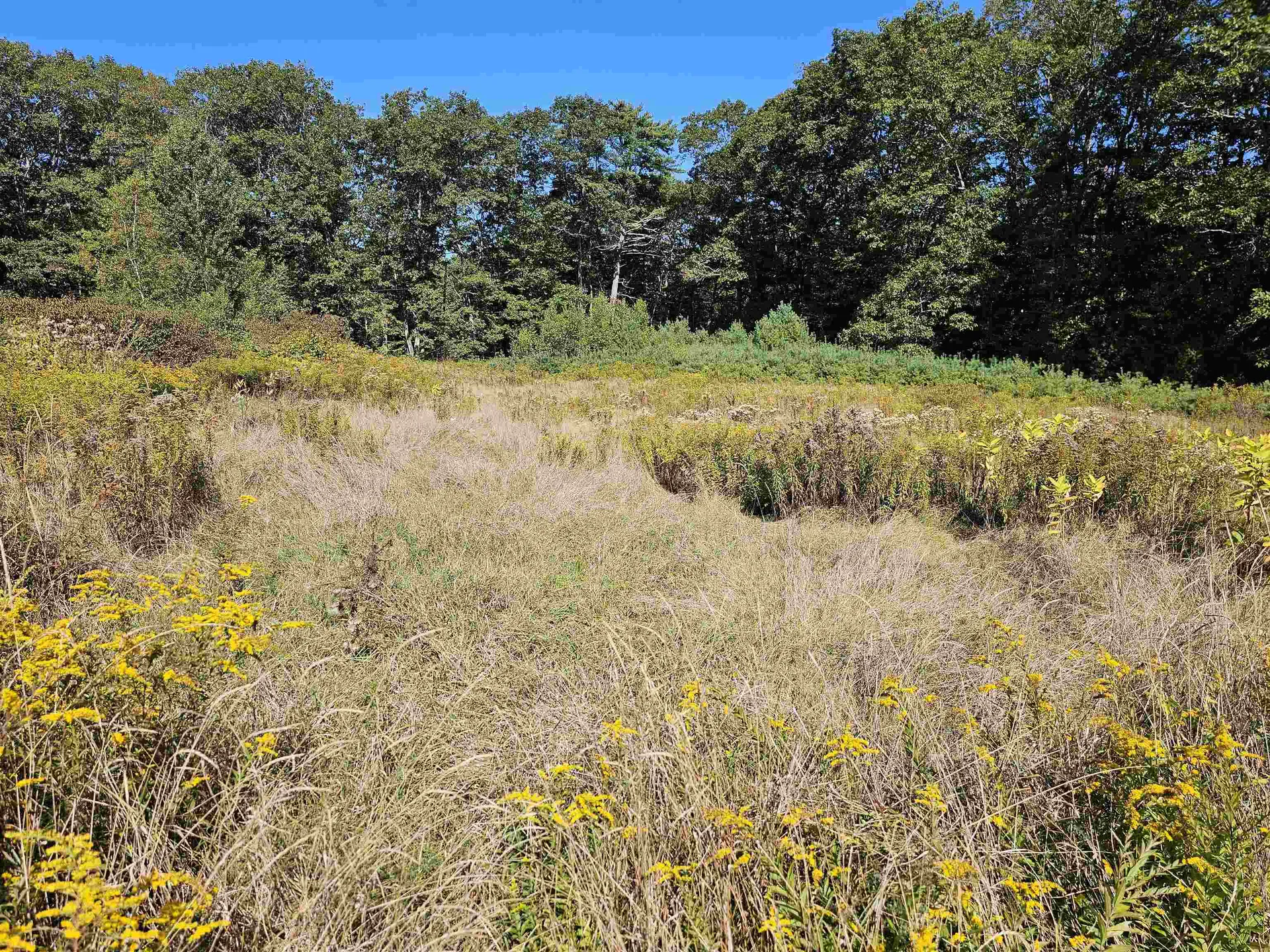 0 Shaw Road Barnstead NH 03218