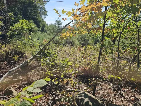 0 Shaw Road Barnstead NH 03218