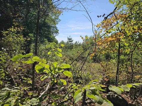 0 Shaw Road Barnstead NH 03218