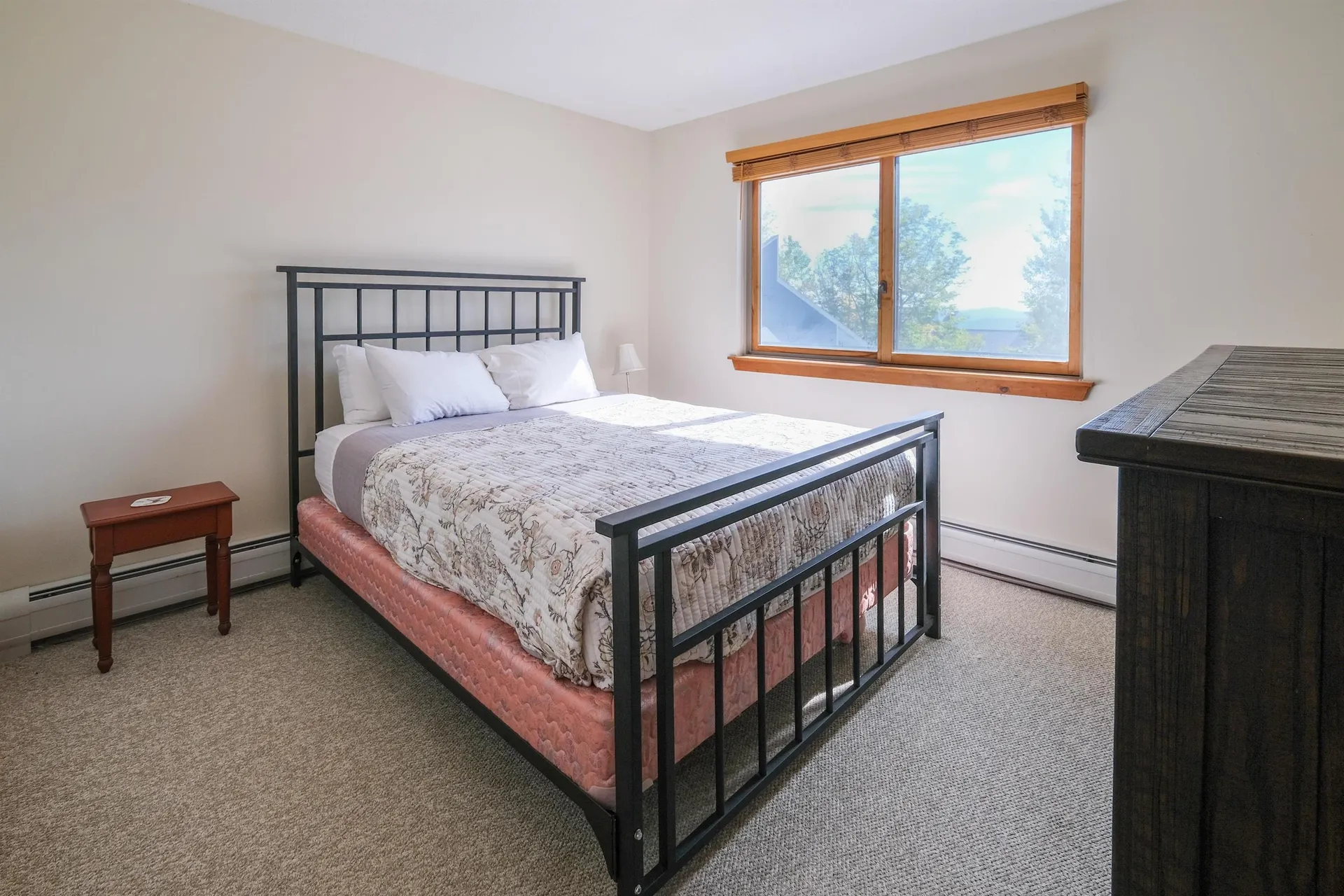 168 Trailside Extension Ludlow VT 05149