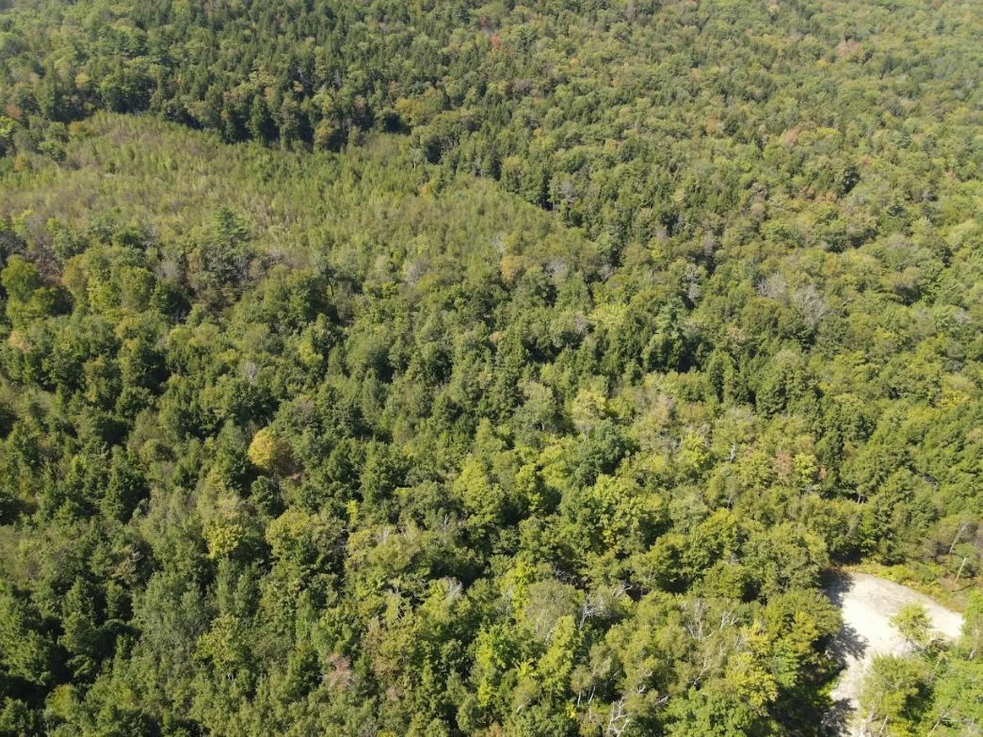 4 Seven Sisters Circle Campton NH 03223