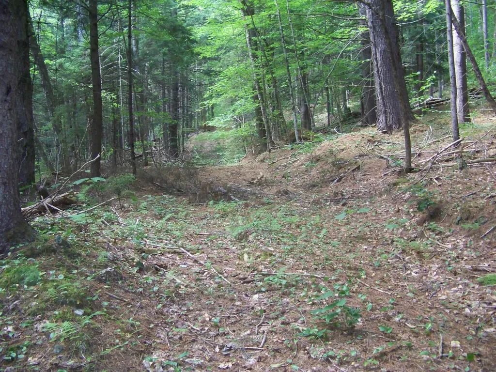 1003 Quarry Hill Road Rochester VT 05767