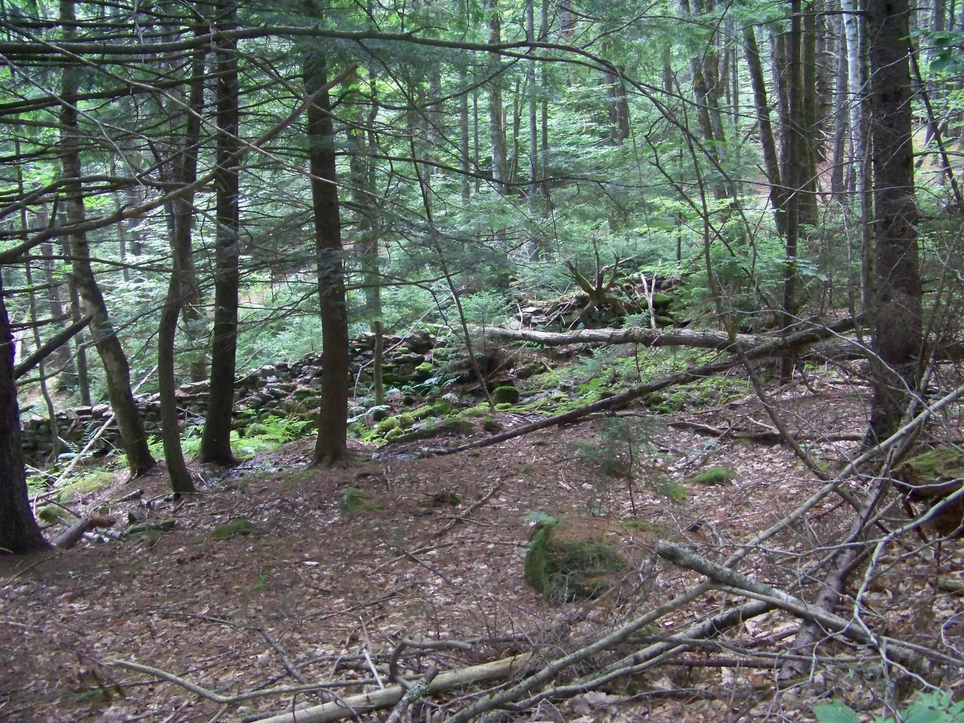 1003 Quarry Hill Road Rochester VT 05767