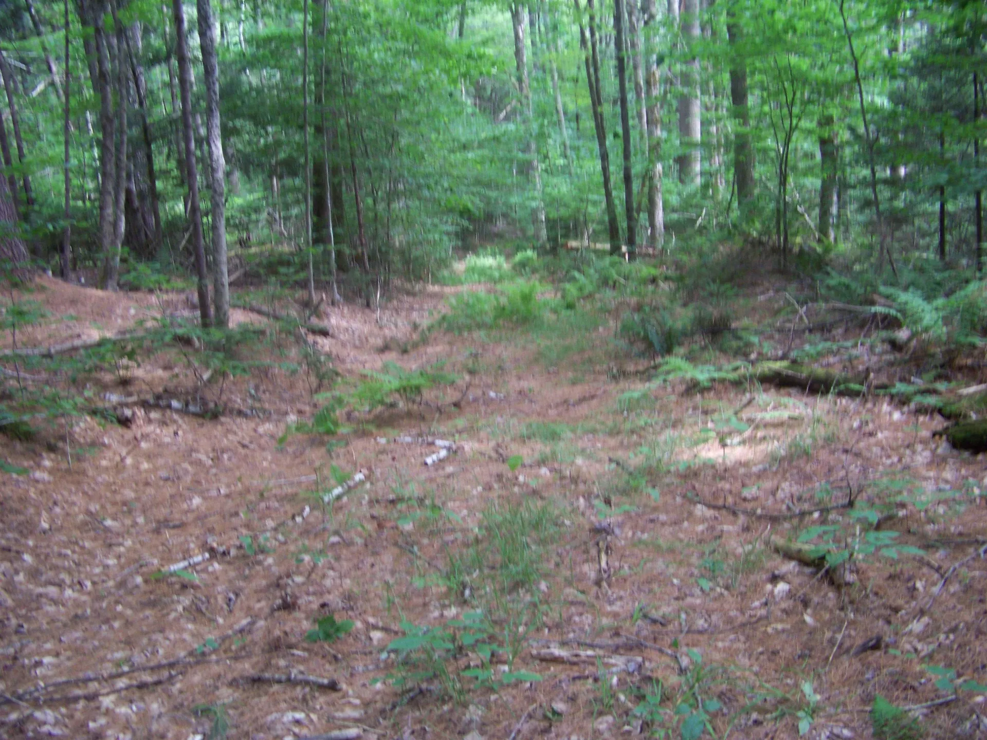 1003 Quarry Hill Road Rochester VT 05767