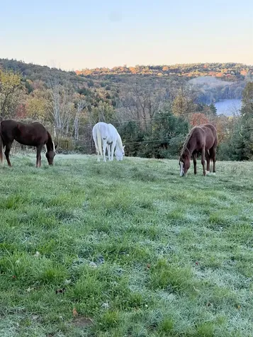 28 Sanderson Drive Pittsfield NH 03263