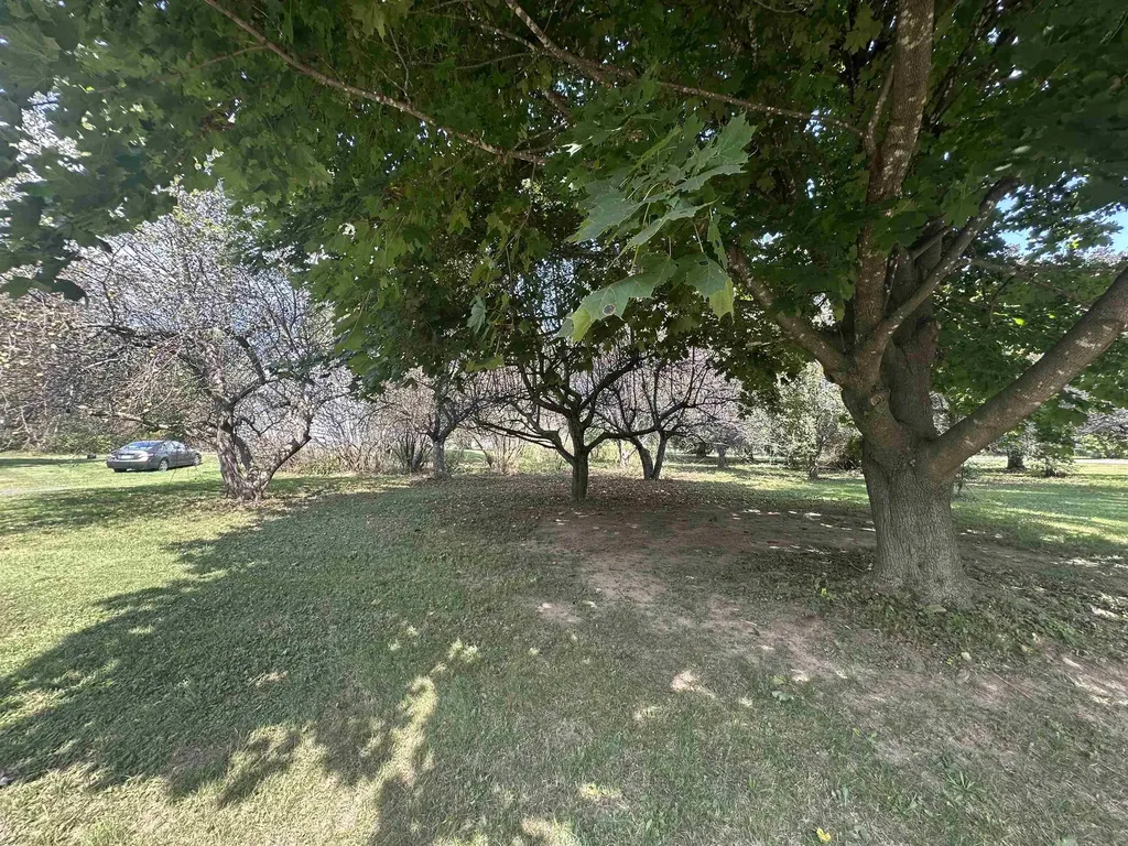 3 Mountain View Grand Isle VT 05458