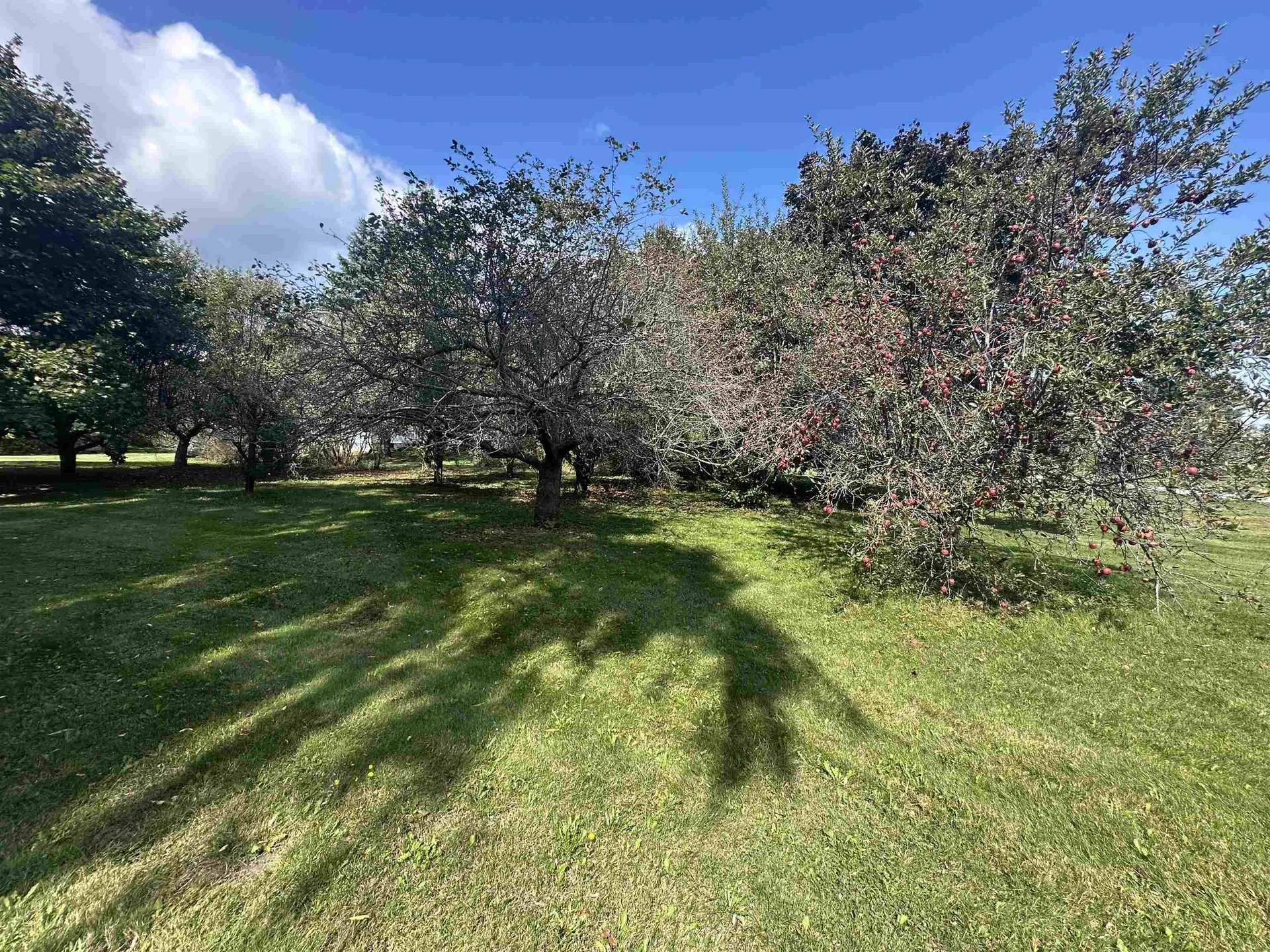 3 Mountain View Grand Isle VT 05458