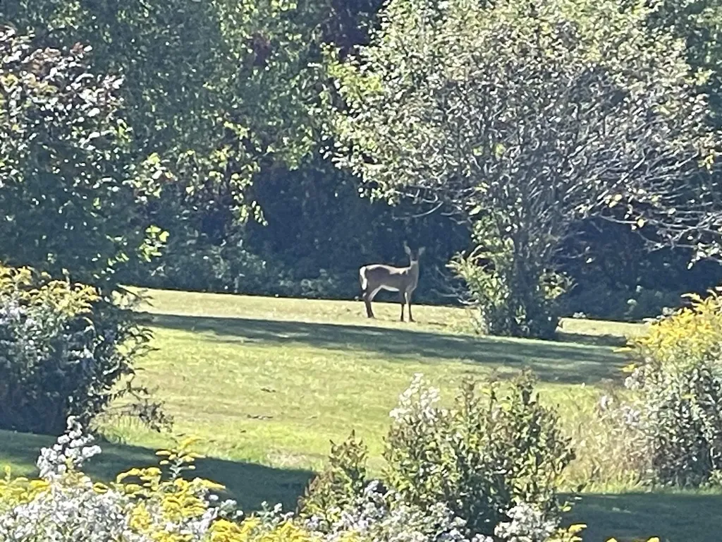 364 Lucier Road Jay VT 05859