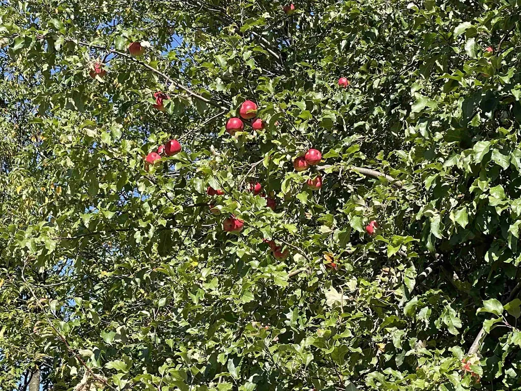 364 Lucier Road Jay VT 05859