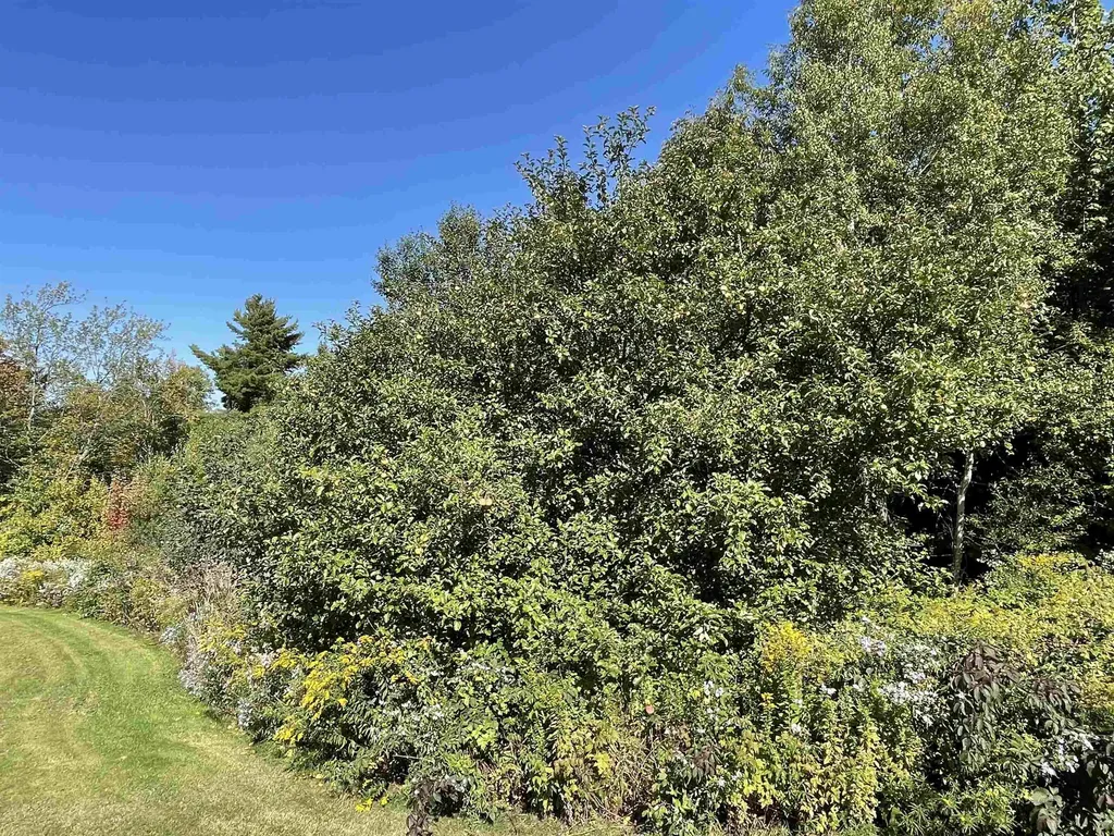 364 Lucier Road Jay VT 05859