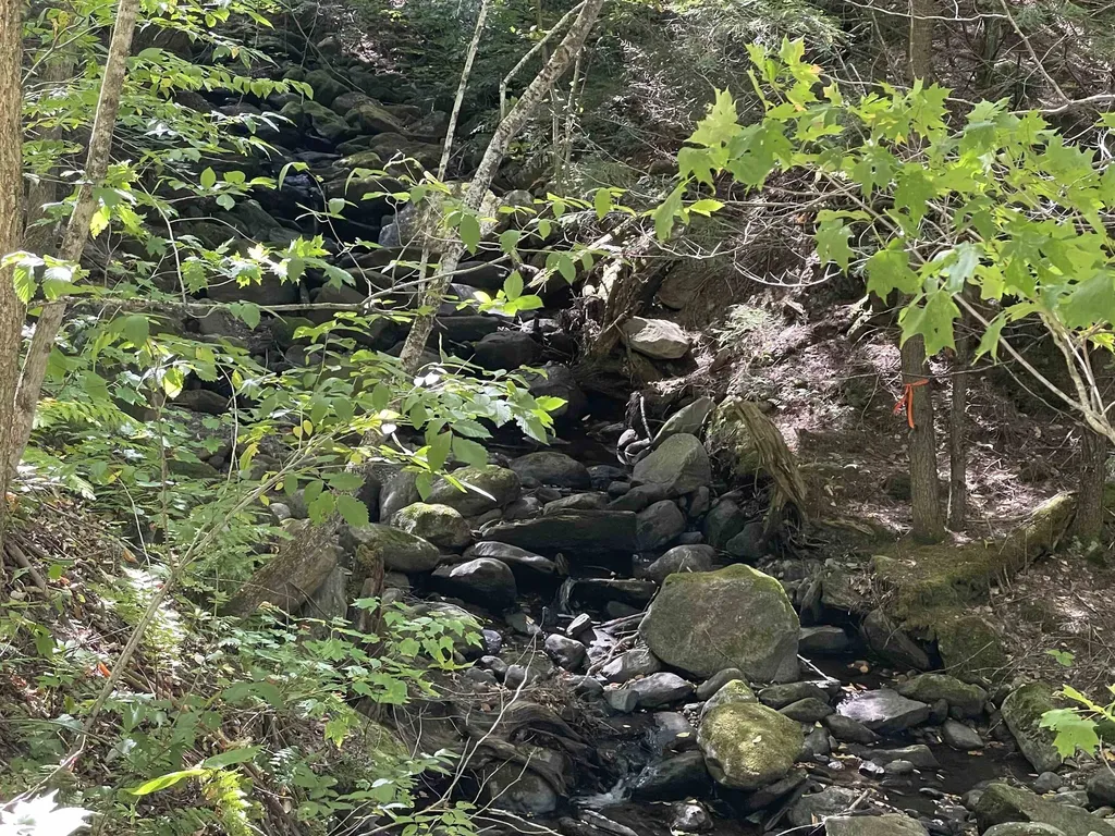 364 Lucier Road Jay VT 05859