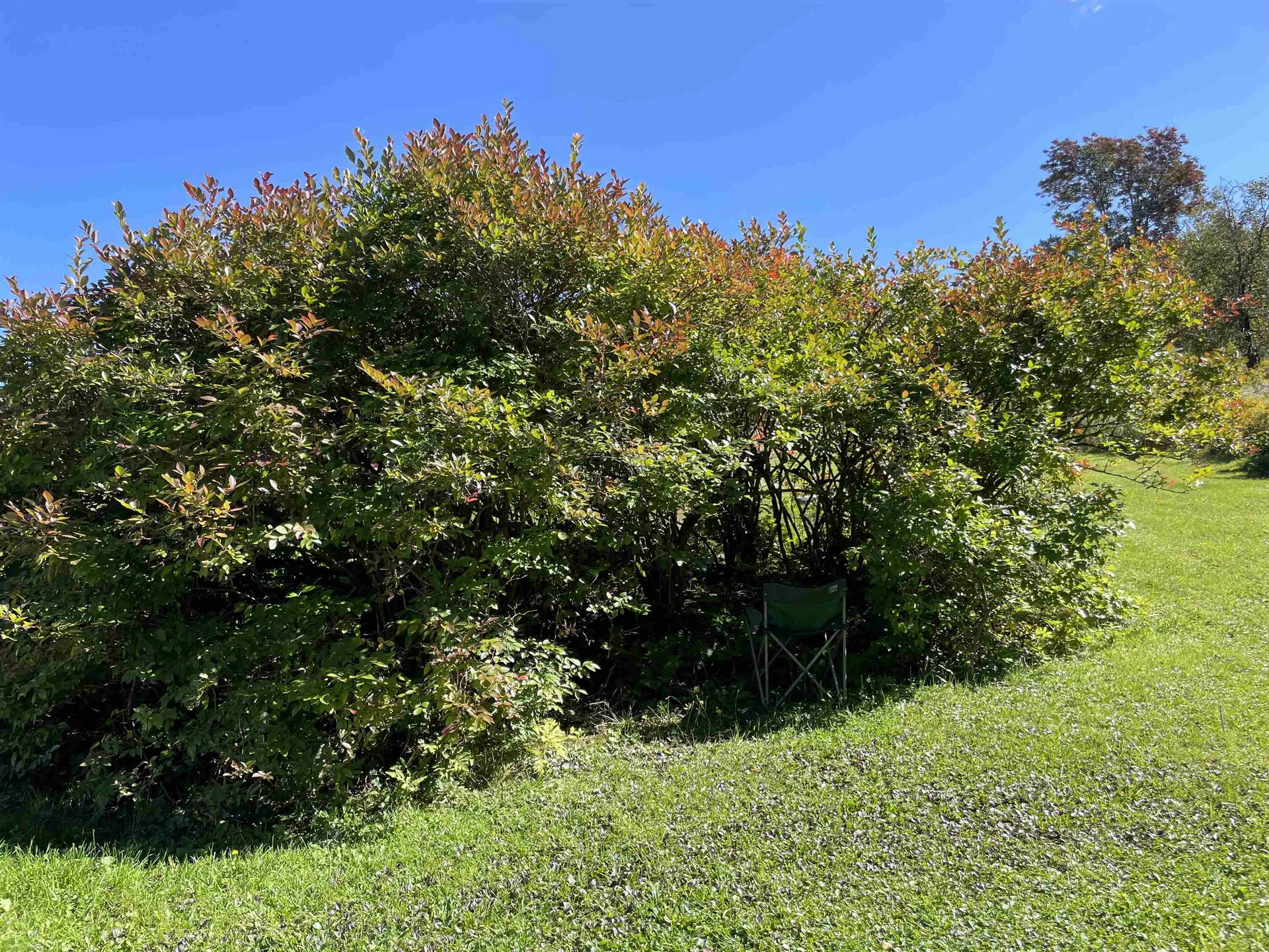 364 Lucier Road Jay VT 05859
