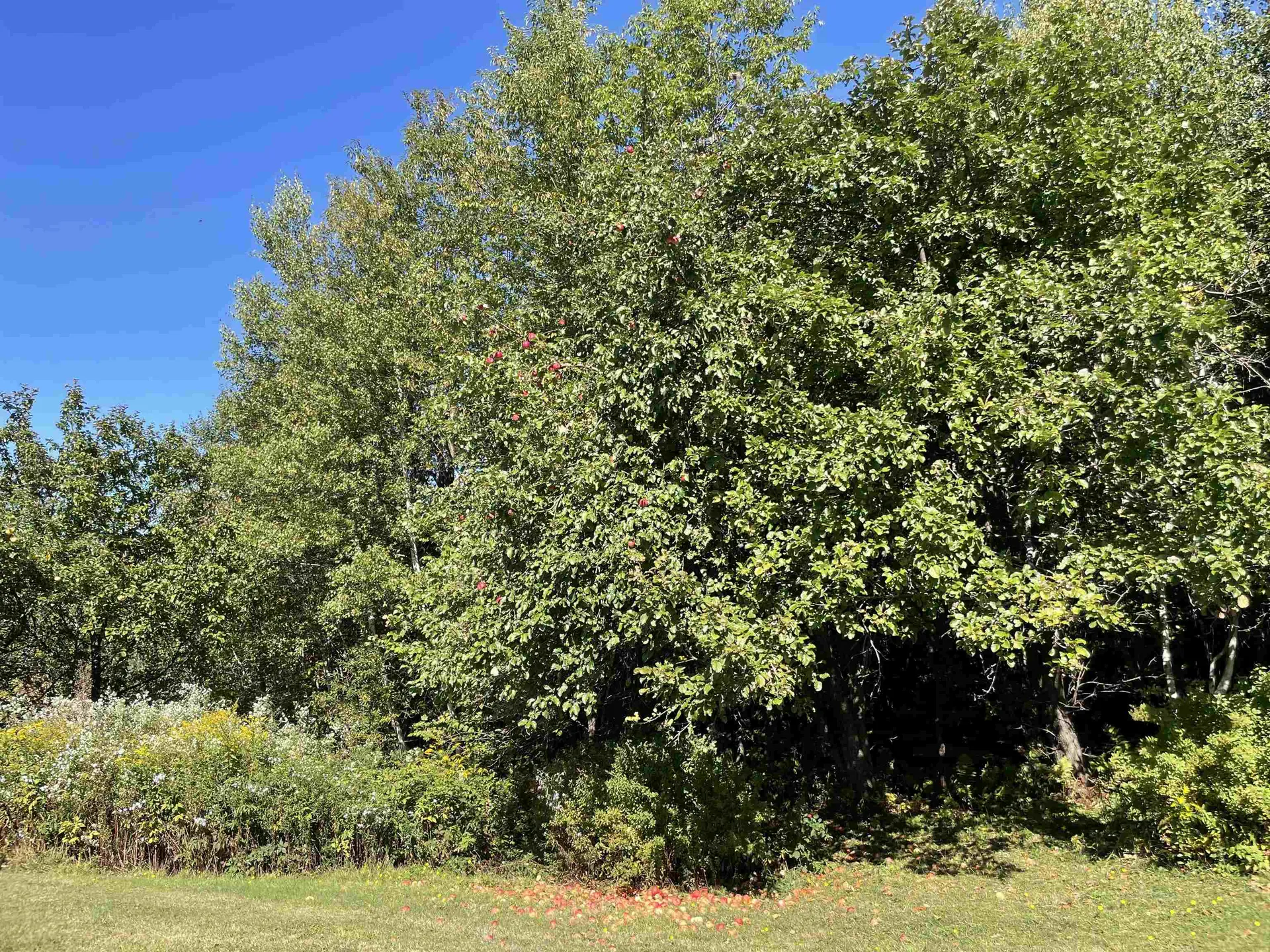 364 Lucier Road Jay VT 05859