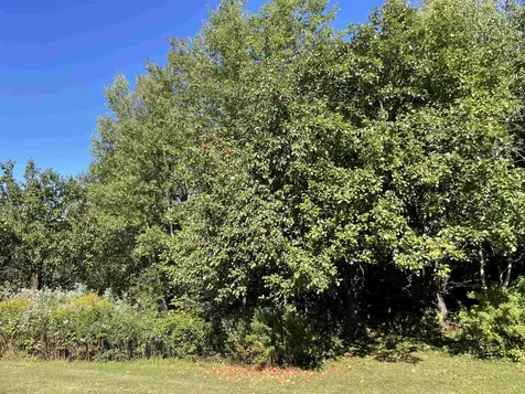 364 Lucier Road Jay VT 05859