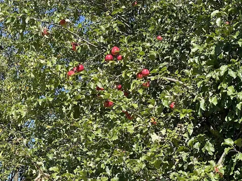 364 Lucier Road Jay VT 05859