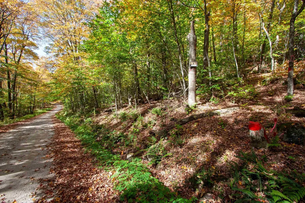 1052 Ccc Road Shrewsbury VT 05738