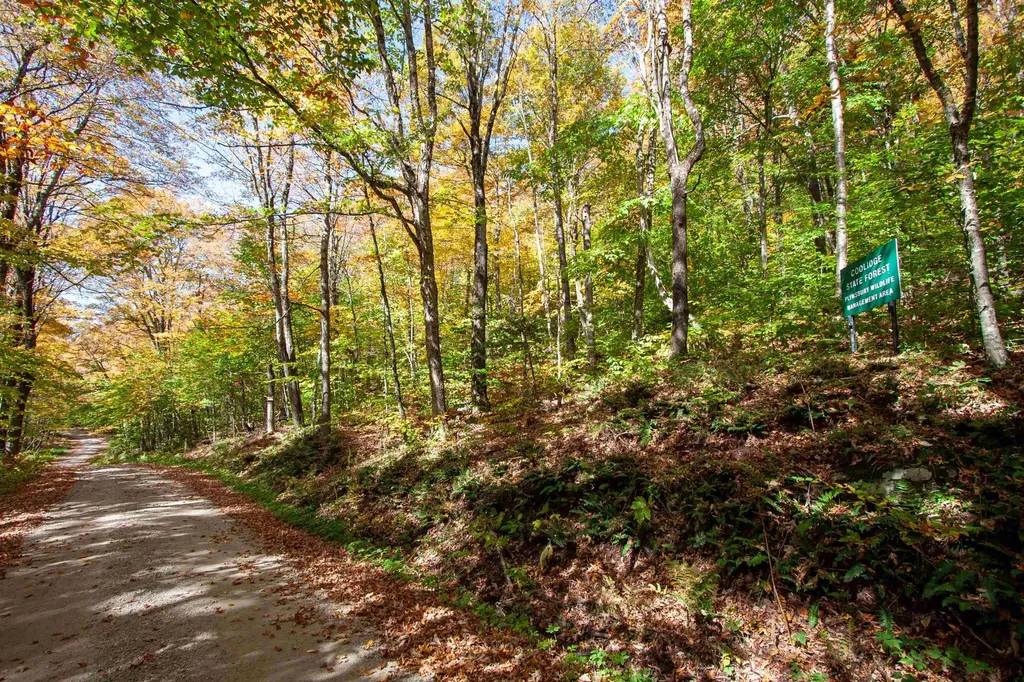 1052 Ccc Road Shrewsbury VT 05738