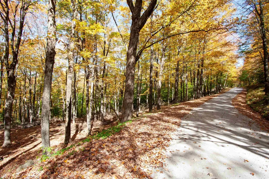 1052 Ccc Road Shrewsbury VT 05738