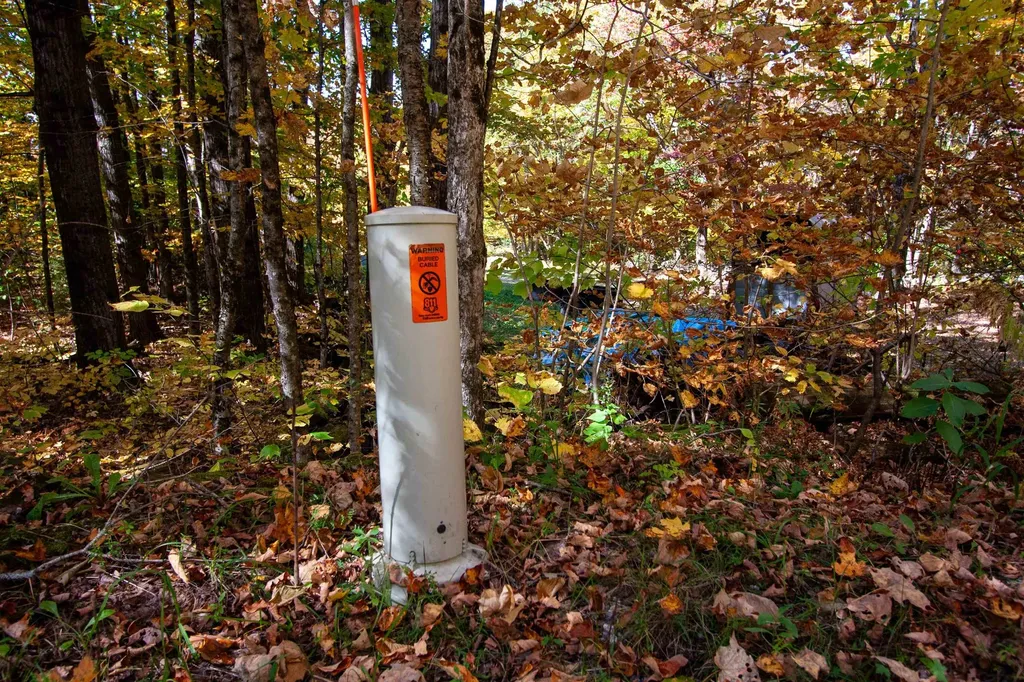 1052 Ccc Road Shrewsbury VT 05738