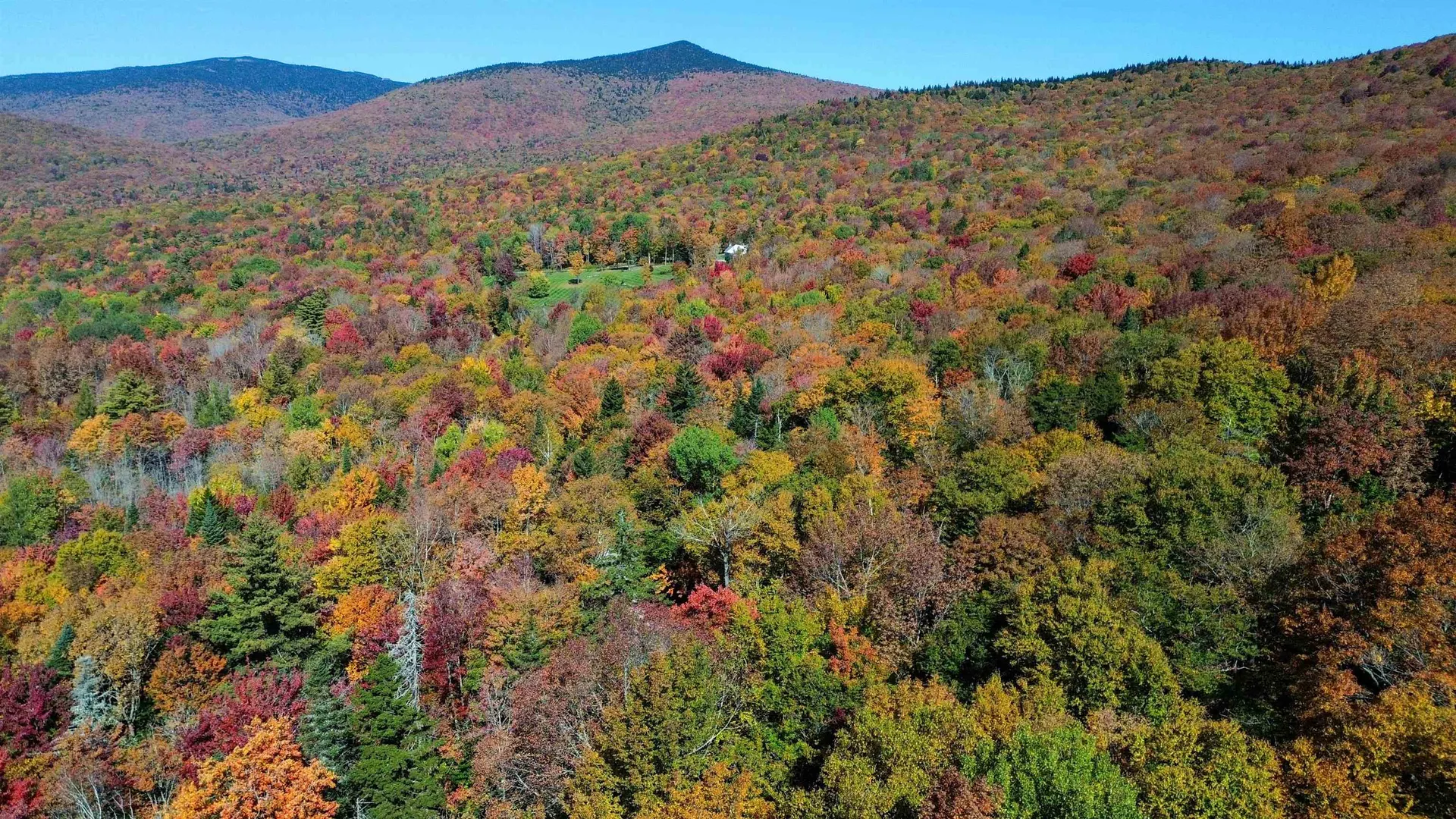 1052 Ccc Road Shrewsbury VT 05738