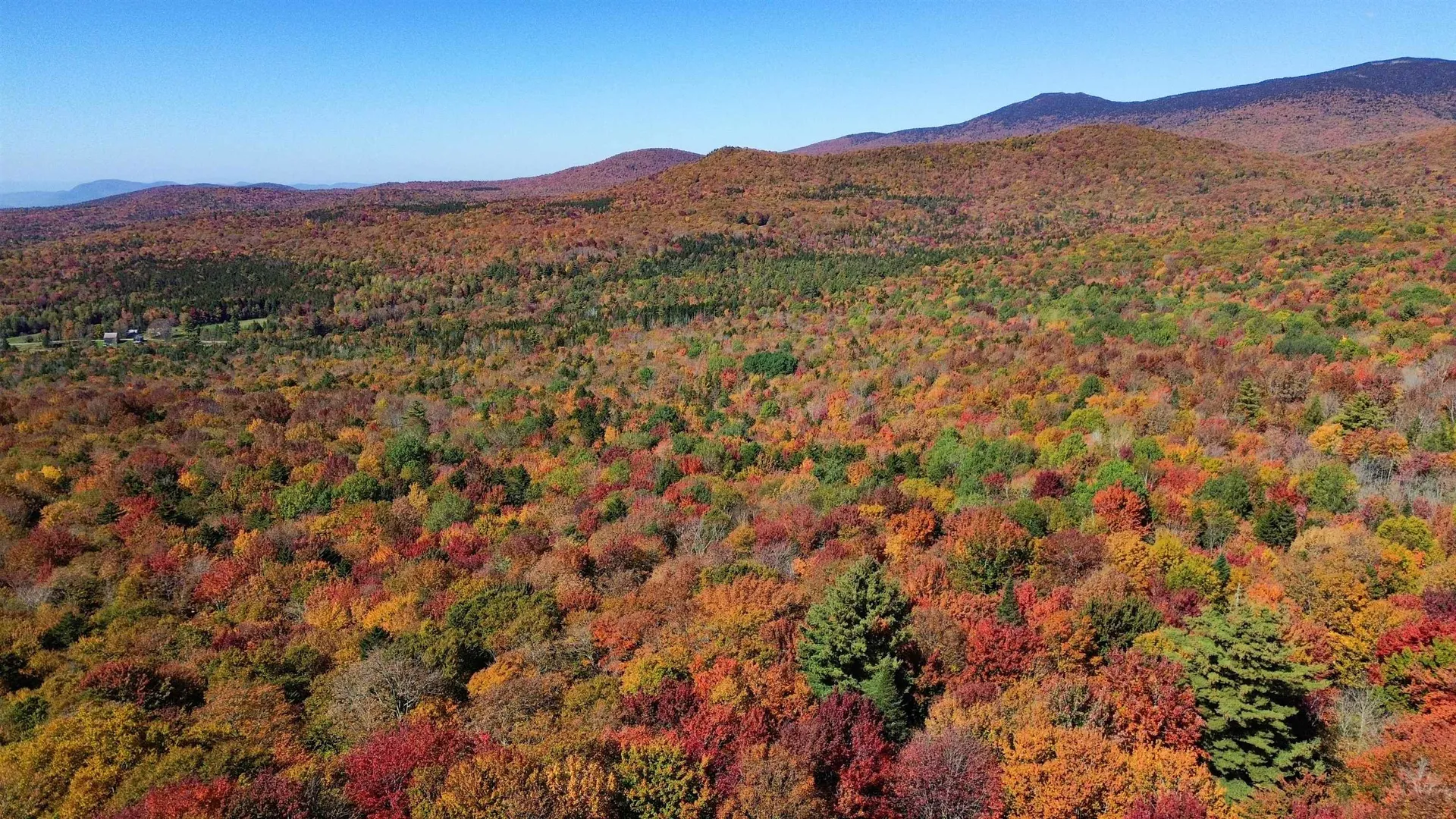 1052 Ccc Road Shrewsbury VT 05738