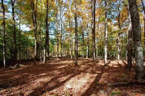 1052 Ccc Road Shrewsbury VT 05738