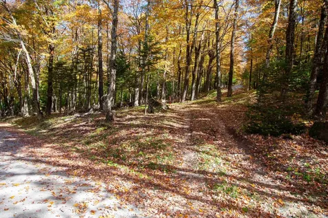 1052 Ccc Road Shrewsbury VT 05738