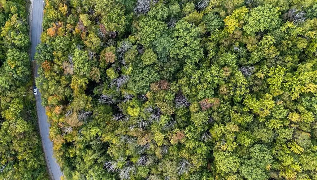 Tbd Pheasant Drive Middleton NH 03887