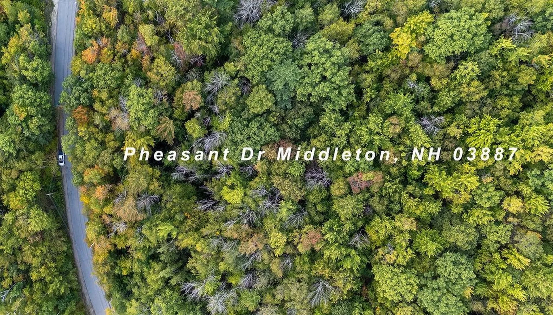 Tbd Pheasant Drive Middleton NH 03887