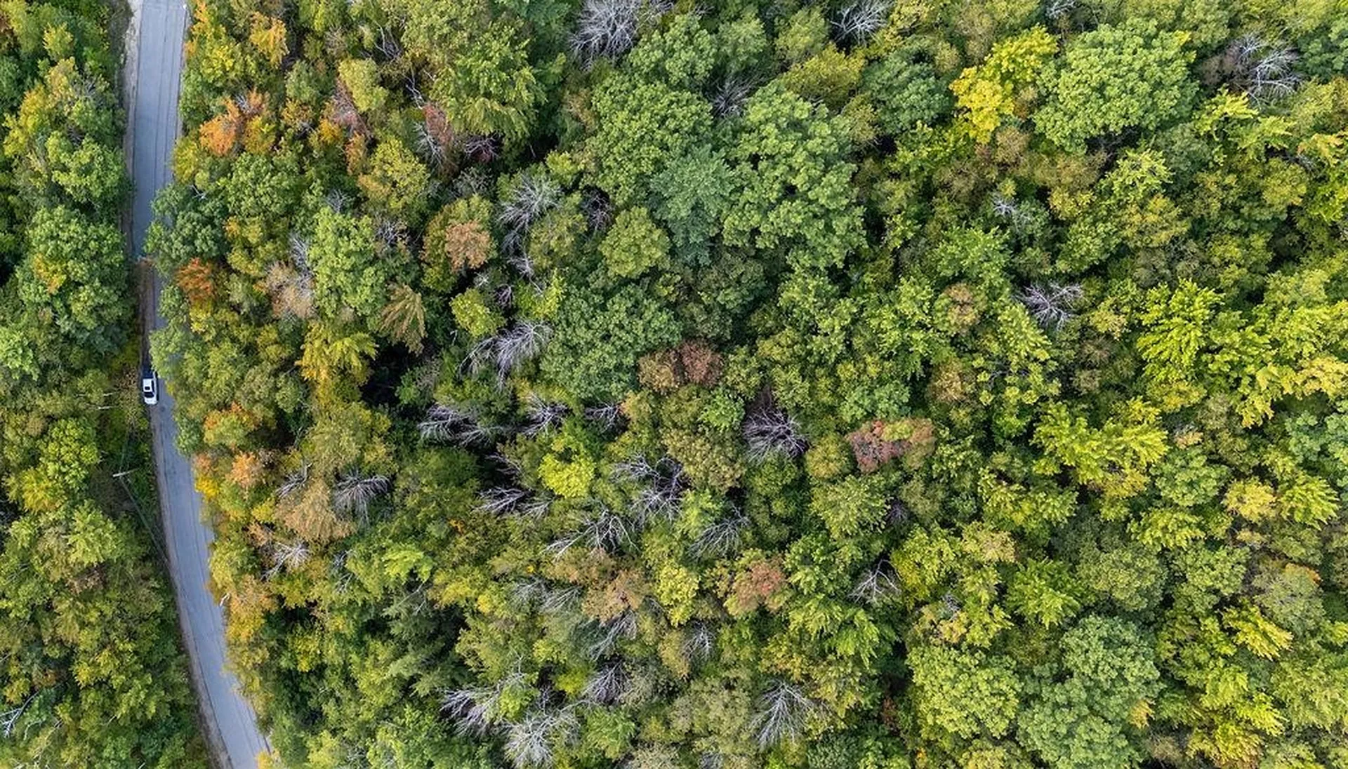 Tbd Pheasant Drive Middleton NH 03887