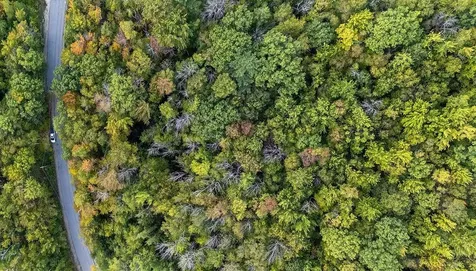 Tbd Pheasant Drive Middleton NH 03887