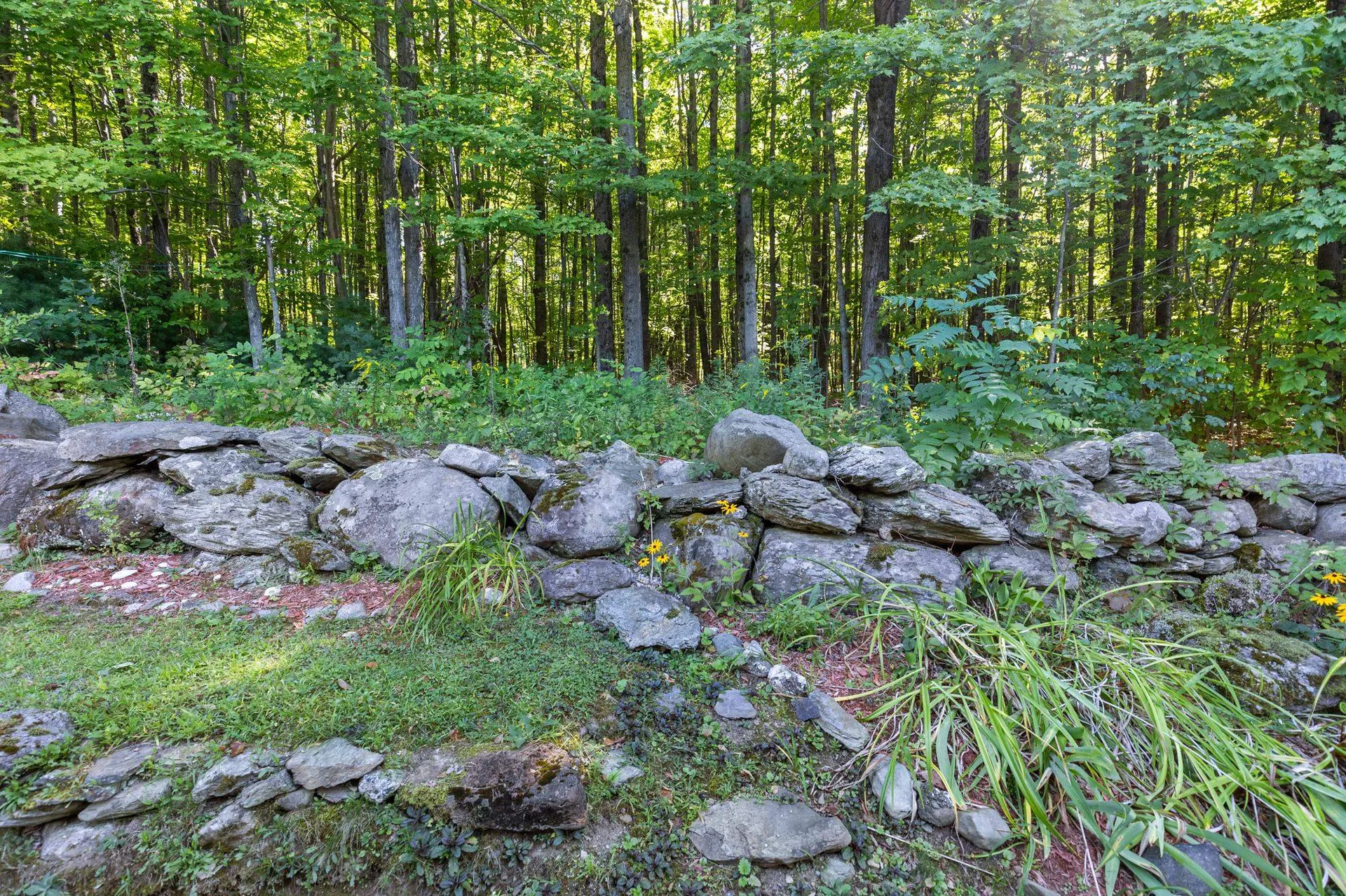 725 Porterwood Drive Williston VT 05495