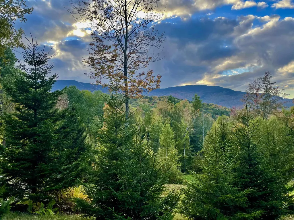 136 Old Quarry Road Fayston VT 05673