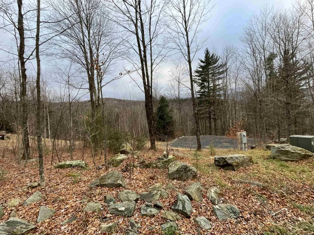 136 Old Quarry Road Fayston VT 05673