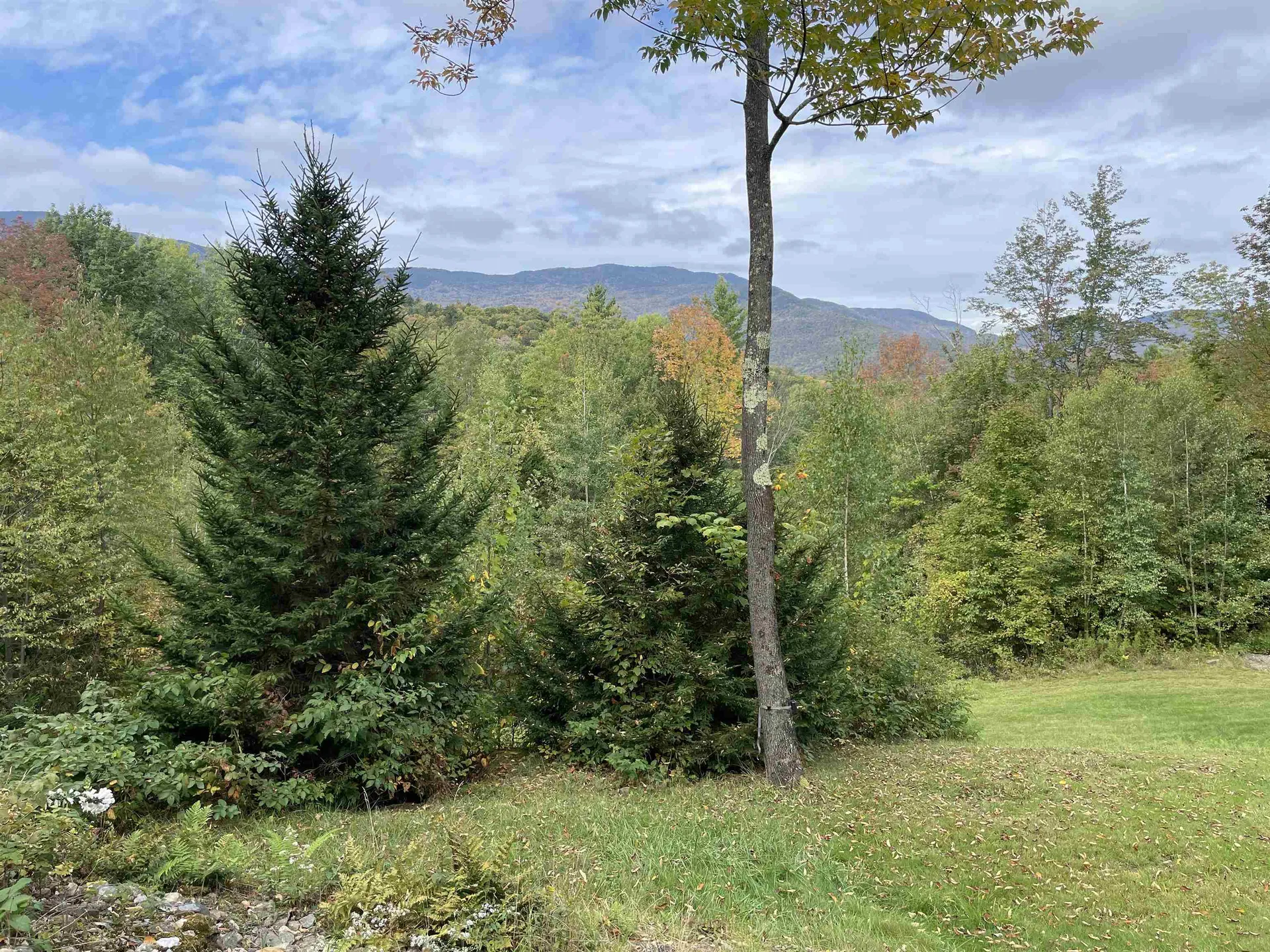 136 Old Quarry Road Fayston VT 05673