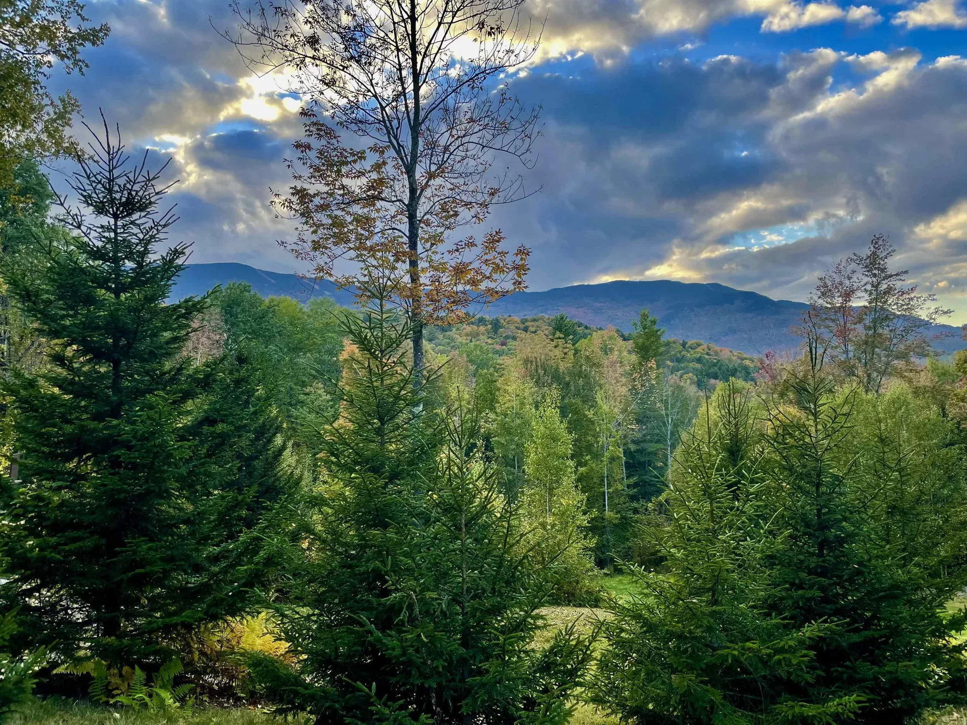 136 Old Quarry Road Fayston VT 05673