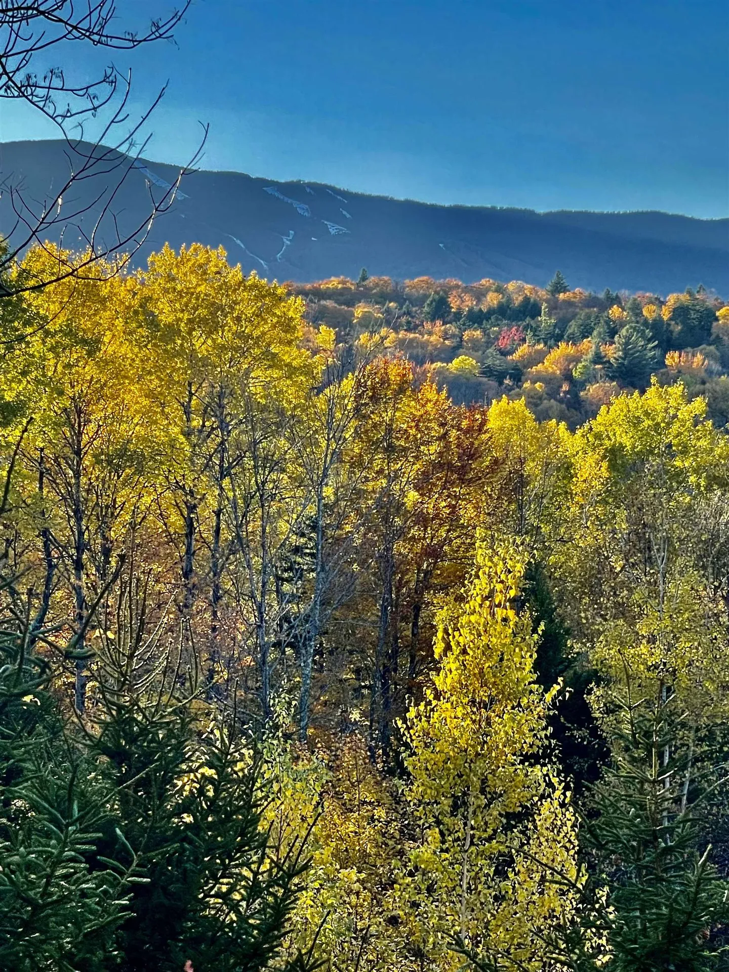 136 Old Quarry Road Fayston VT 05673