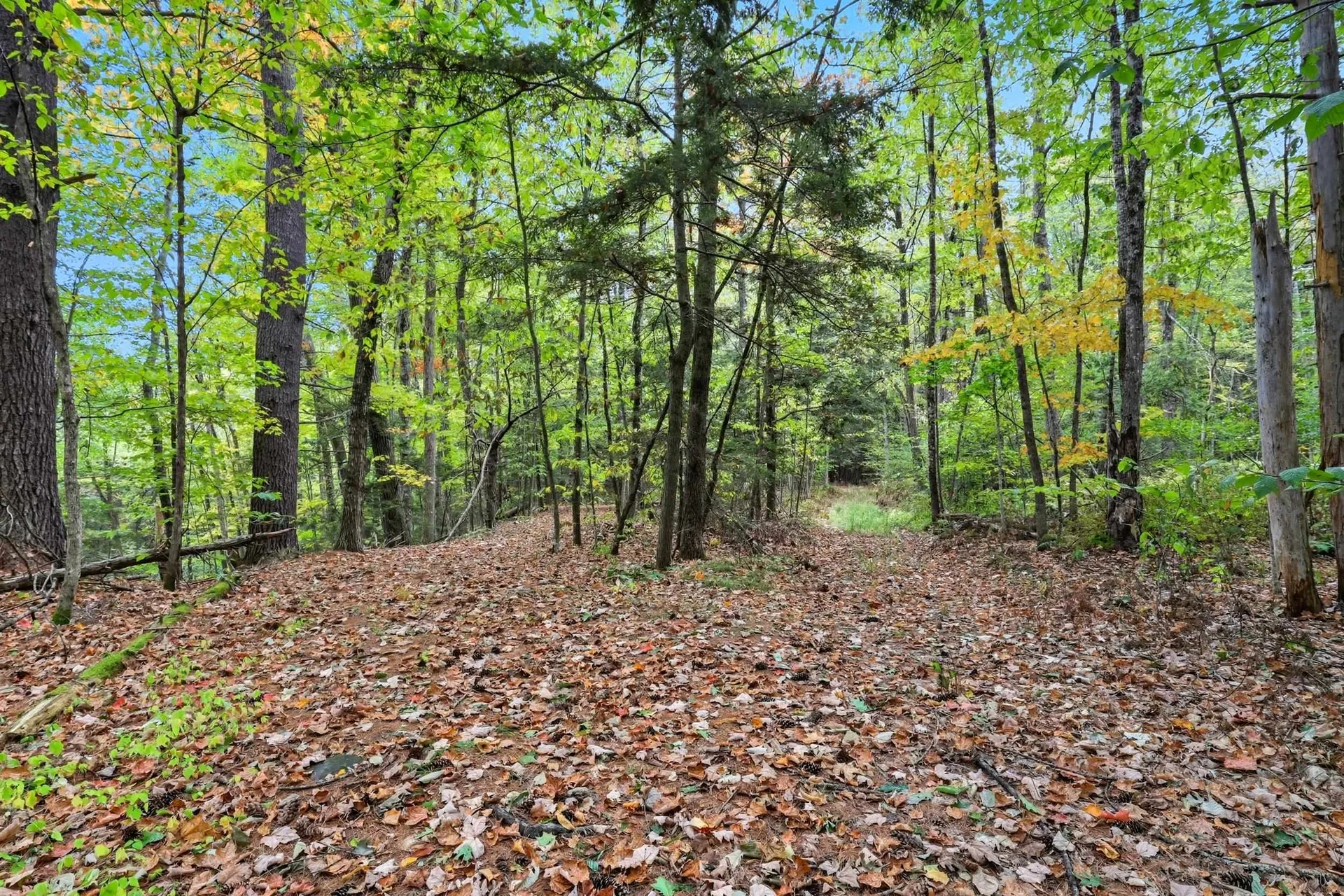 Gulf Road Sanbornton NH 03269