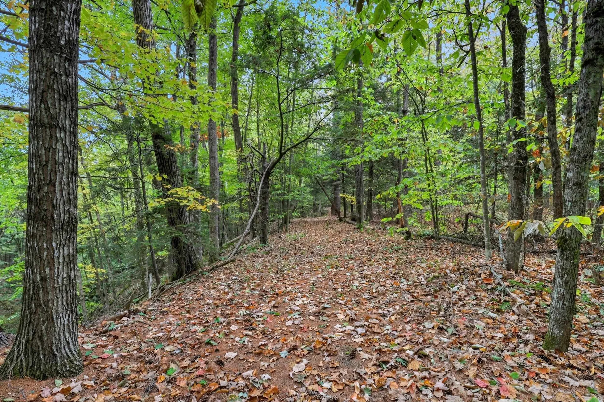 Gulf Road Sanbornton NH 03269