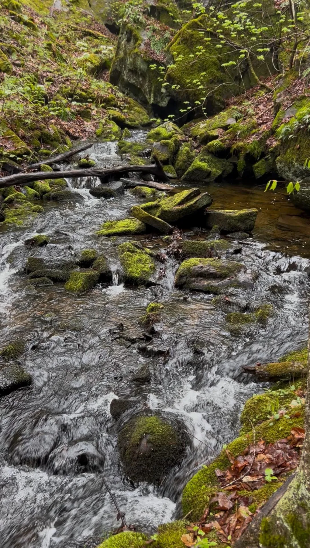 Gulf Road Sanbornton NH 03269