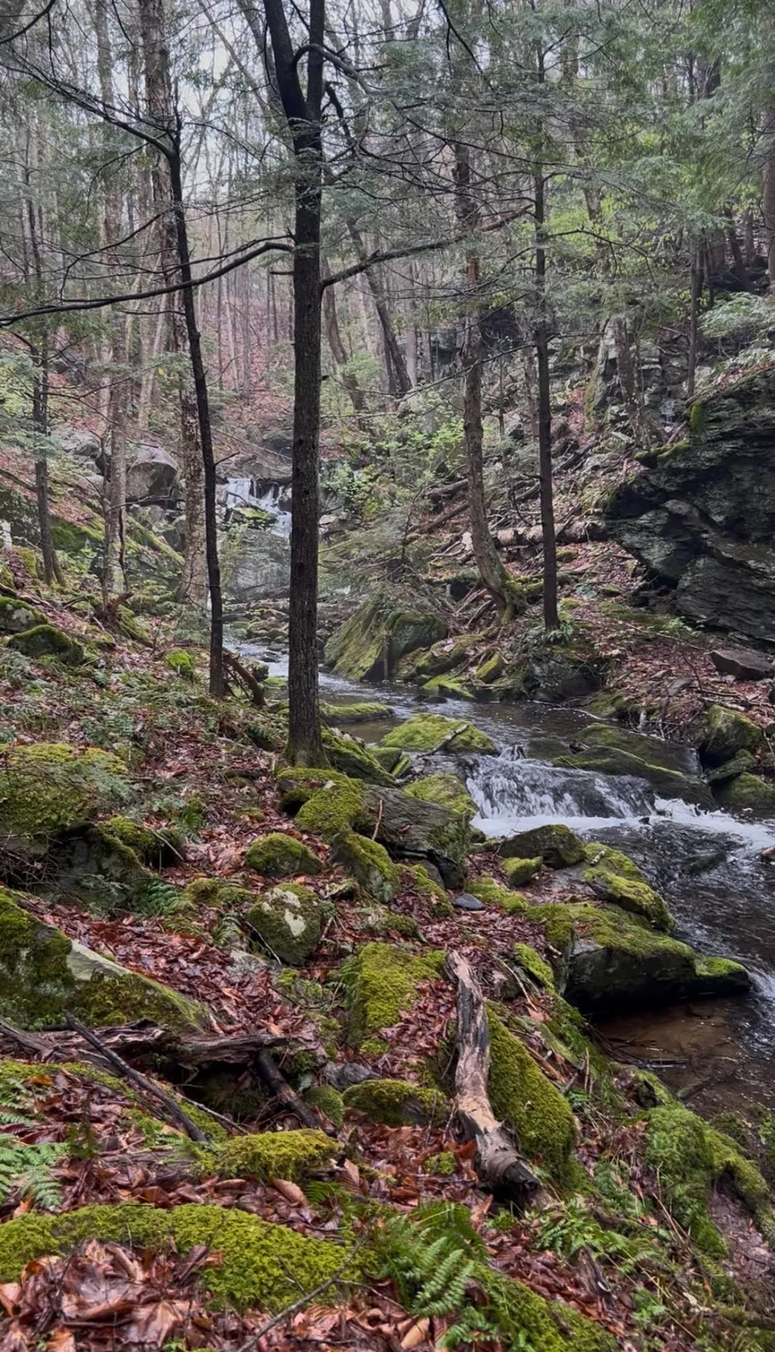 Gulf Road Sanbornton NH 03269