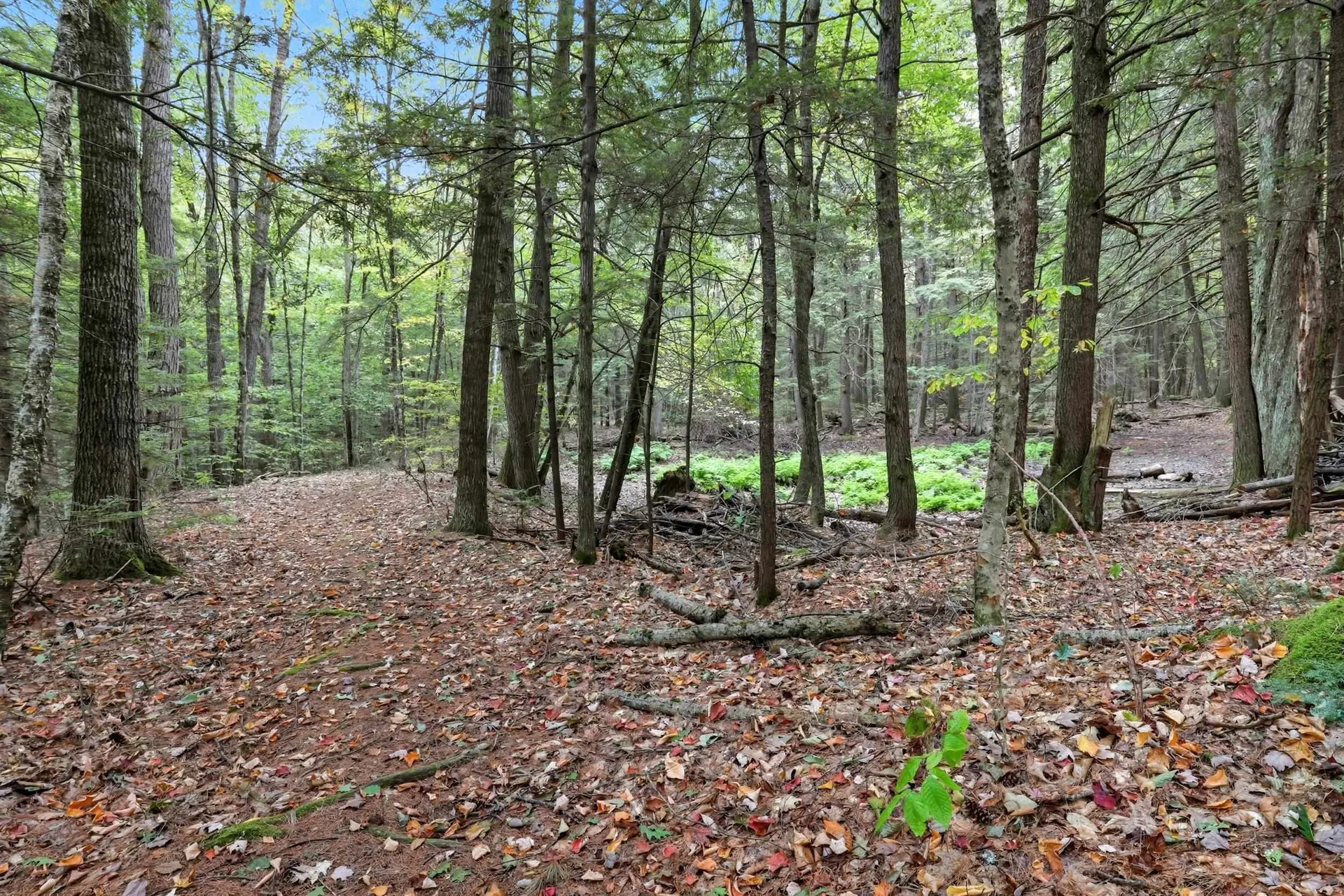 Gulf Road Sanbornton NH 03269