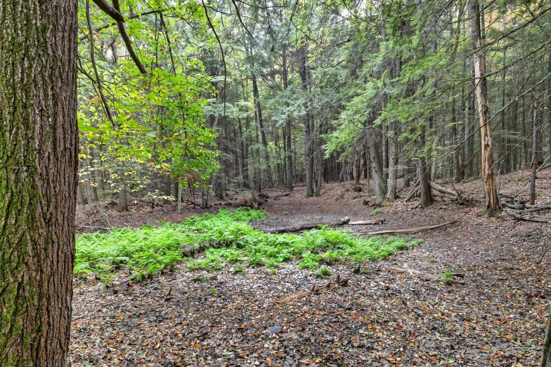 Gulf Road Sanbornton NH 03269