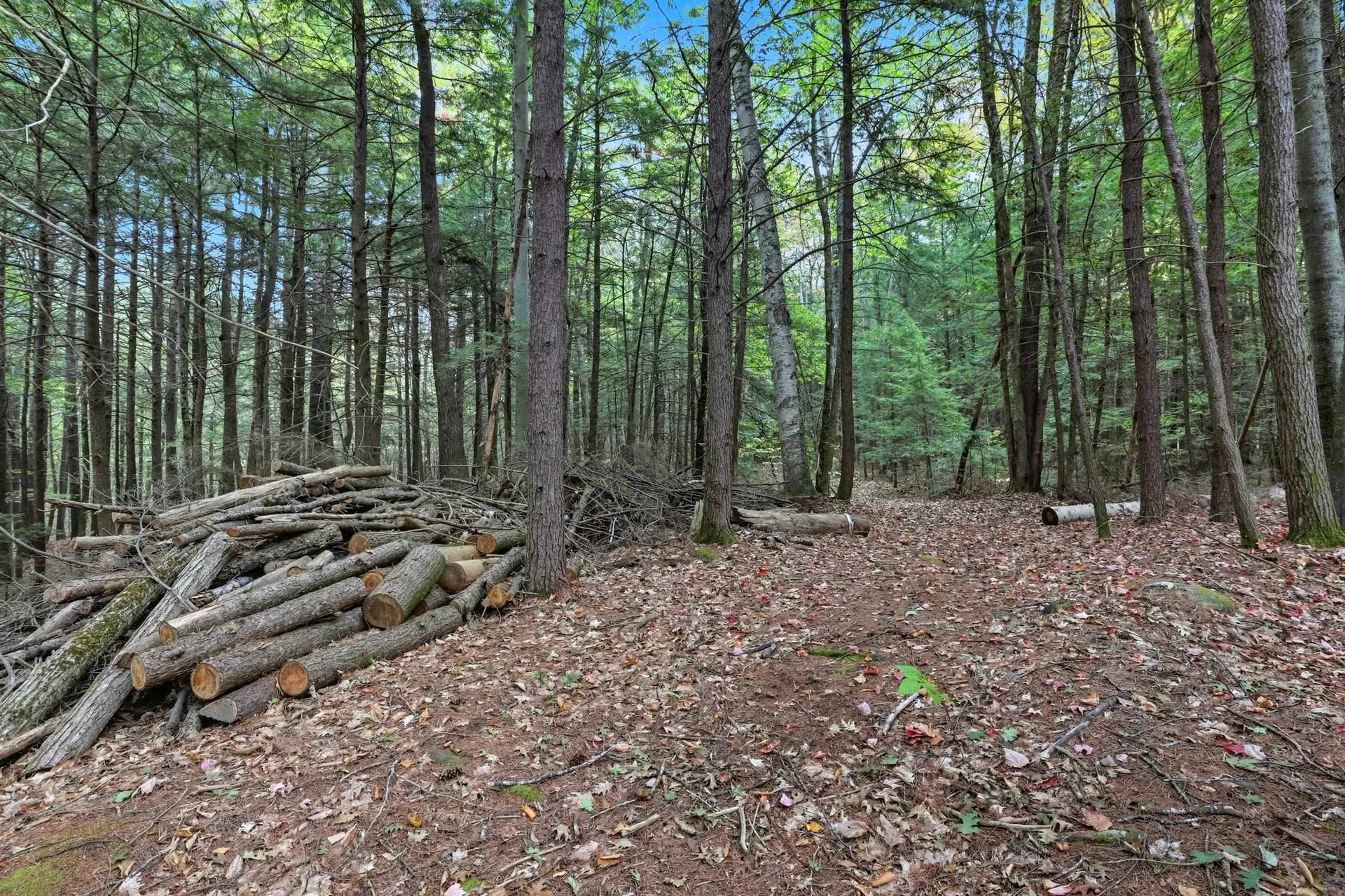 Gulf Road Sanbornton NH 03269