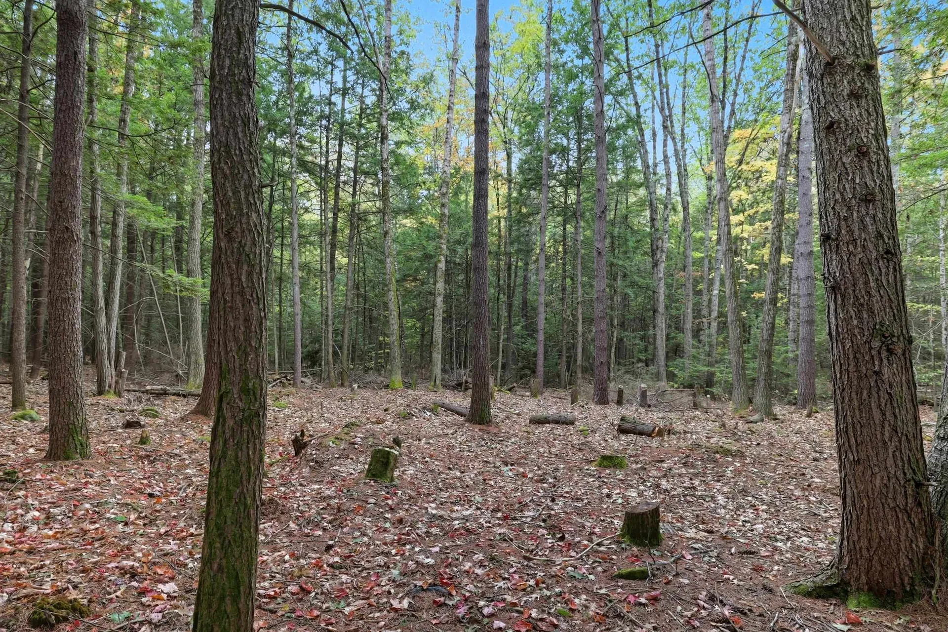 Gulf Road Sanbornton NH 03269